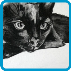 hand drawn Children's and Pet's portraits