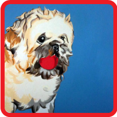 hand drawn Children's and Pet's portraits